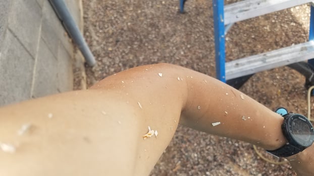 Paint Chips on Bare Shoulder and Arm, Female Working on Home Improvement photo