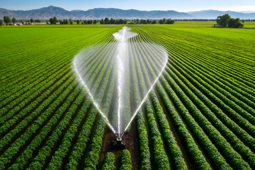 Automated irrigation system watering crops in cultivated agricultural field photo