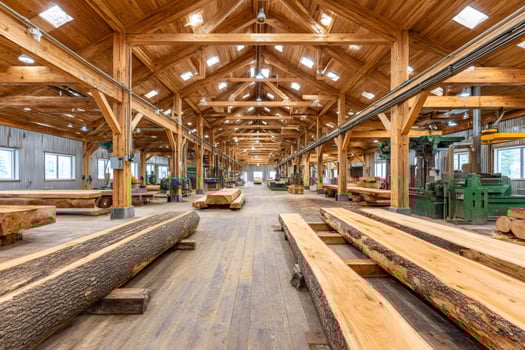 Large woodworking factory processing logs into lumber with heavy machinery photo