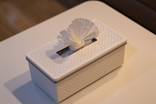 Cozy minimalist tissue box display on modern table aesthetic home photography photo