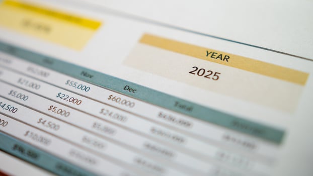 Business projections for 2025 financial overview spreadsheet analysis corporate environment insights photo