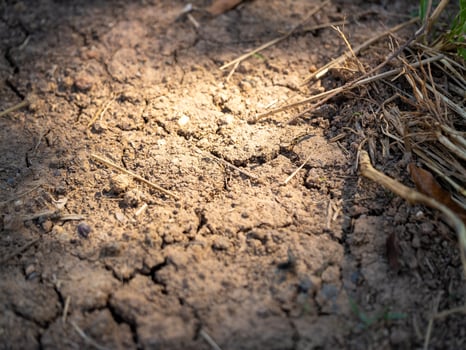 Promoting soil erosion awareness in agriculture a close-up view of nature's sustainability photo