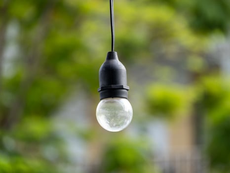 Hanging light bulb in a lush garden setting nature outdoor environment close-up view photo
