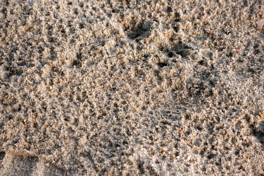 Natural sand patterns beach shoreline close-up coastal environment textural view nature's artwork photo
