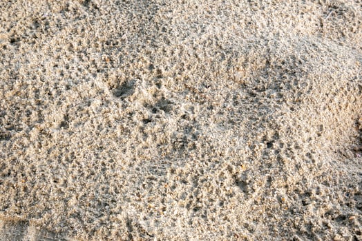 Sand patterns emerge coastal beach nature bright day close-up view photo