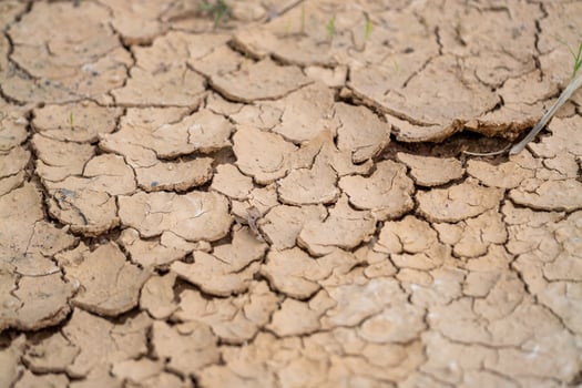 Drought impact soil cracks agriculture fields dry environment close-up view environmental awareness photo