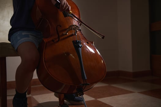 A person engaged in a musical performance, seated and playing a cello. The scene captures intimacy and passion for music in a serene environment. photo