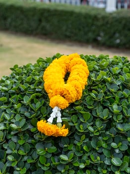 Close-up of colorful marigold garland in outdoor garden symbolic cultural display photo