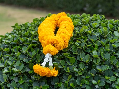 Nature bright floral arrangement celebrating cultural symbolism in an outdoor garden photo