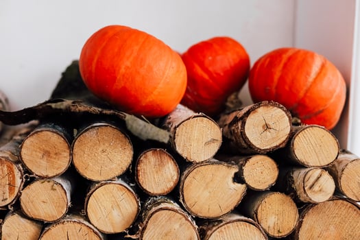 Bright orange pumpkins resting on stacked wooden logs in a cozy interior setting photo