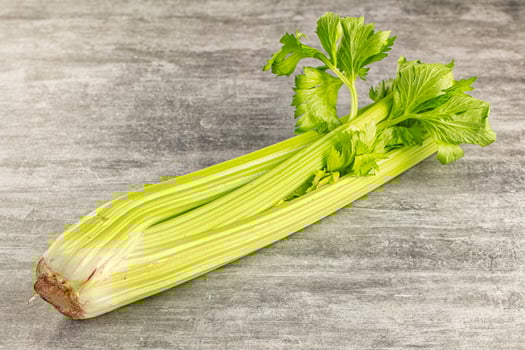 A celery root on a gray surface photo