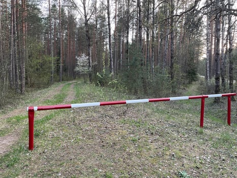 Barrier in the forest - prohibition of entry into the forest, environmental protection, protection of wildlife and wild animals photo