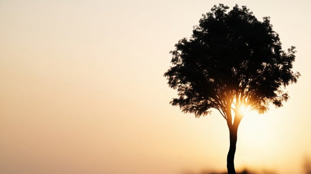 A solitary tree stands against a vibrant sunset, casting a dramatic silhouette. The warm hues create a tranquil atmosphere, highlighting the beauty of nature during dusk photo