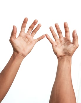 Close-up of outstretched hands against a clean white background, offering or presenting an abstract gesture photo