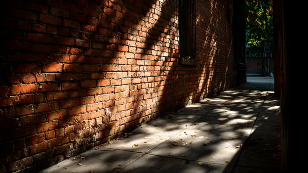 A vibrant brick wall bathed in dappled light casts shadows along an urban city pathway photo