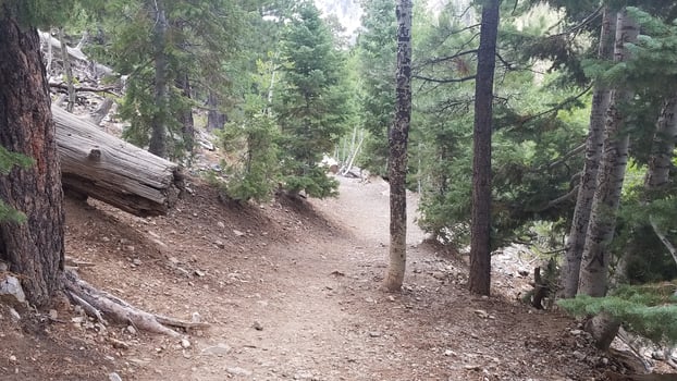 Hiking Trail to Mary Jane Falls at Mount Charleston near Las Vegas, Nevada photo
