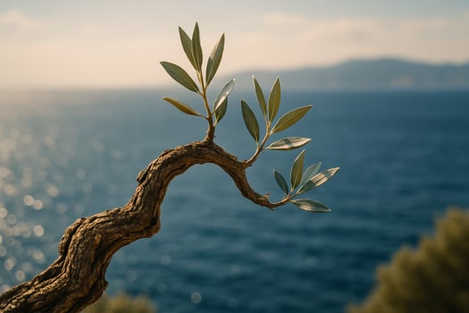 Close up of a gnarled ancient olive tree branch with fresh leaves overlooking the blue sea. photo