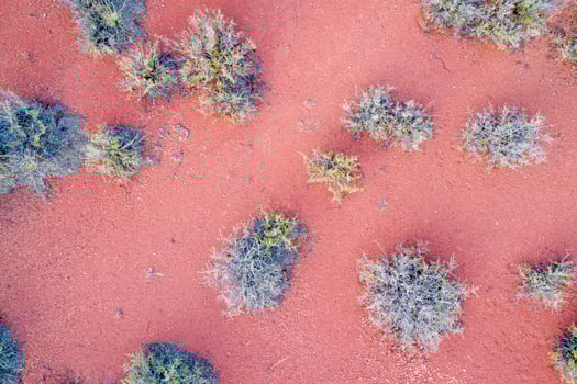 red badlands landscape with coarse vegetation in Colorado foothills, aerial view photo