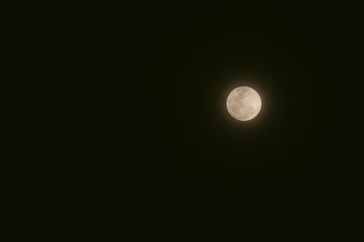 Close up detail of a full moon photo