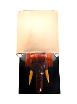 A wall lamp with an elephant head on it photo
