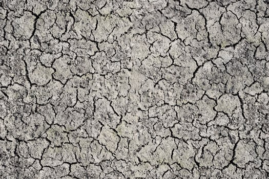 Parched land from the hot climate photo