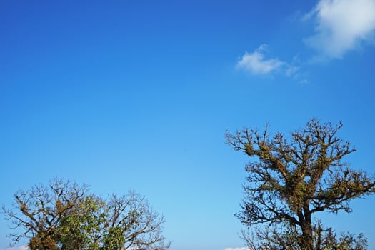 Natural landscape of green mountain range with clear blue sky photo