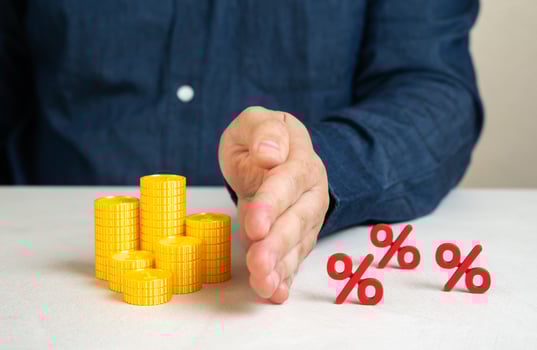 Preserve savings and capital from taxes or inflation. Strategies for financial protection, inflation hedging, smart investing, tax planning. photo