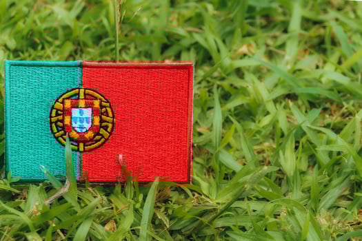 Horizontal eco friendly Portugal flag PT crafted from fabric and thread, placed on green grass in warm natural light. Symbol of climate change, Earth Day and environmental harmony. photo