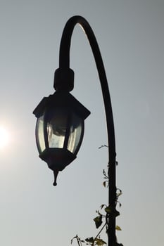 A street light with a tree in the background photo