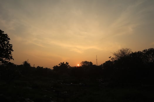 A sunset over a field with trees and grass photo