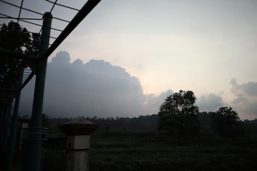 A large field with trees and a sky photo