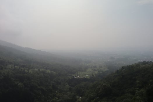 A plane flying over a forested area with a few houses photo