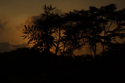 A sunset over a field with trees in the foreground photo