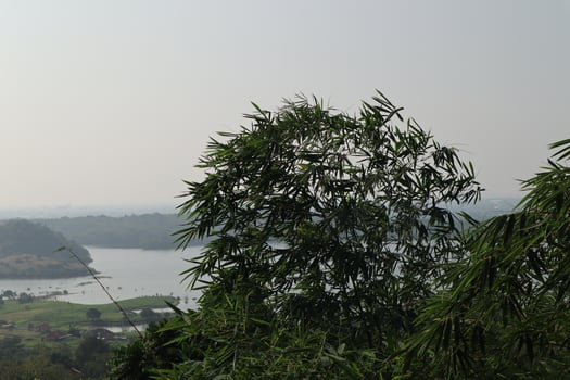 A view of a city and a lake from a hill photo