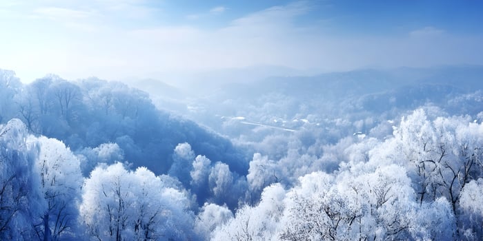 Winter Landscape Frosty Trees Snowy Forest Hillside photo