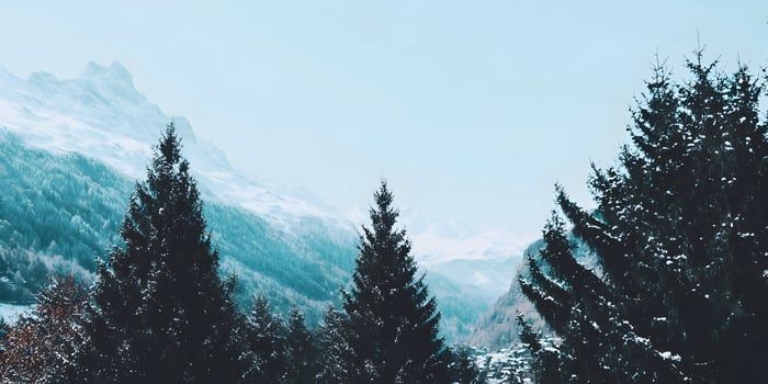 Snowy Mountains Winter Landscape with Pine Trees photo