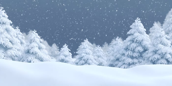 Snowy Winter Landscape Snow Covered Pine Trees Winter Scene photo