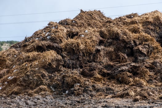 A large pile of decomposing organic material is situated in a rural area, highlighting the natural process of waste recycling in agriculture under a cloudy sky photo