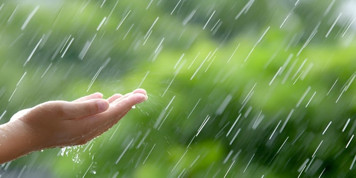 Hand Catching Raindrops Green Nature Background photo
