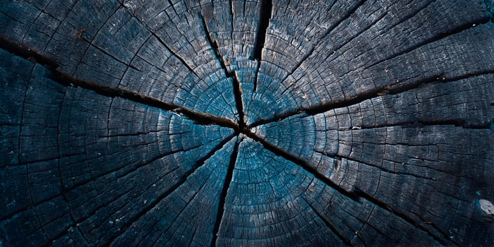 Detailed Closeup of Dark Blue Stained Wood Tree Stump Cross Section photo