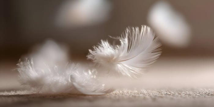 White Feathers Floating Soft Downy Light Brown Background photo