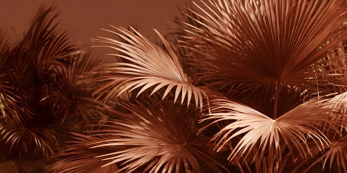 Copper Tone Palm Leaves Tropical Foliage Background Image photo