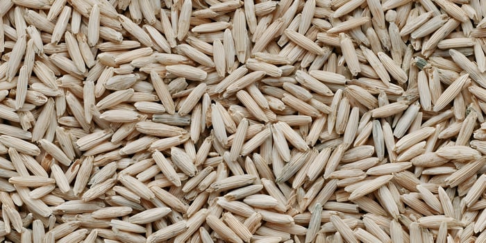 Closeup of Light Brown Dried Zinia Seeds Texture Background photo