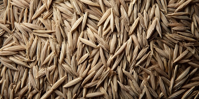Closeup of Light Brown Grass Seeds Pile Texture Background photo