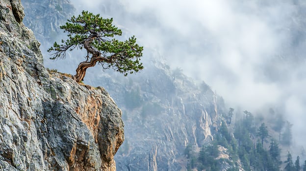 Ancient pine tree clings to a rugged cliff face amidst swirling mist and towering mountains. This resilient tree symbolizes perseverance and strength against a dramatic natural backdrop. photo