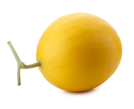 Melon isolated on a white background photo