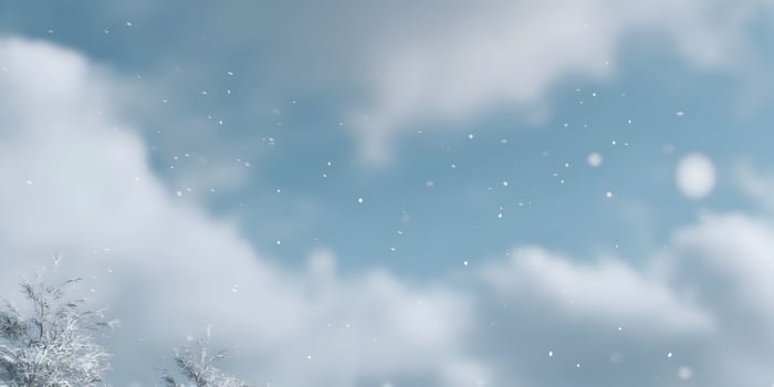 Snowy Winter Scene with Falling Snow and Snow Covered Branches photo