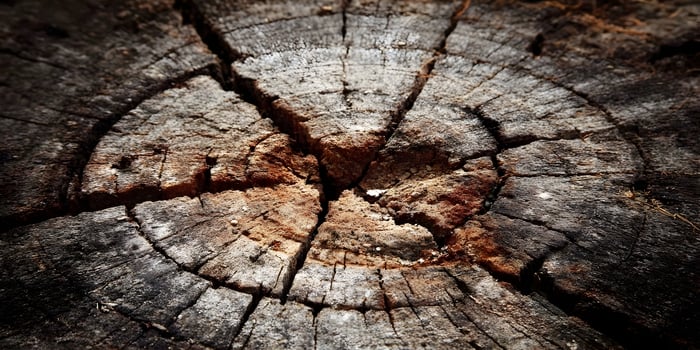 Closeup Tree Stump Texture Dark Brown Gray Cracked Wood Rings photo