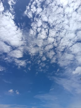 a blue sky with clouds and palm trees photo