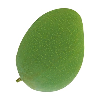 Green Mango Image photo
